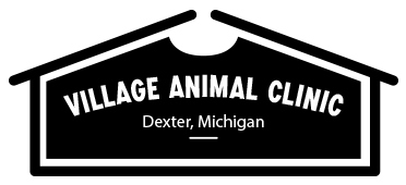 Village Animal Clinic of Dexter | Dexter Veterinary Clinic